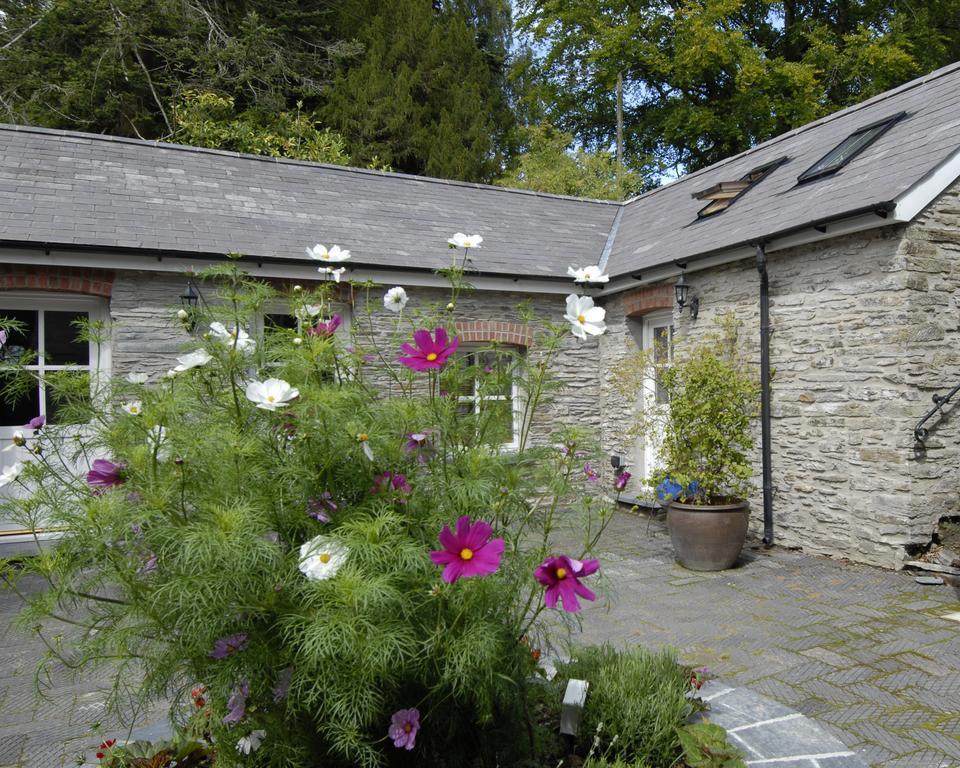 Bed and Breakfast Rhosygilwen Courtyard Cilgerran Zewnętrze zdjęcie